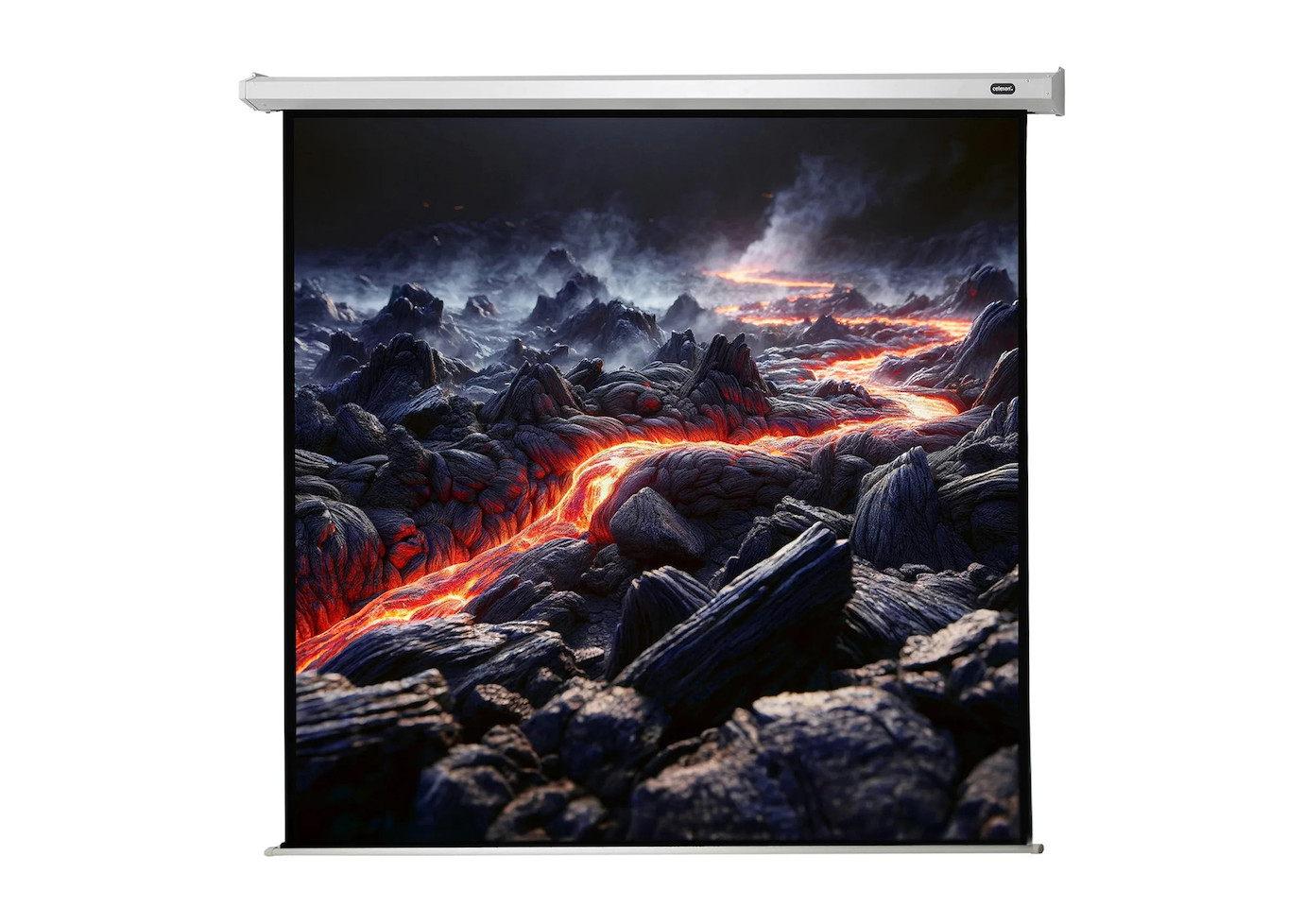 celexon Leinwand Motor Economy 180 x 180 cm